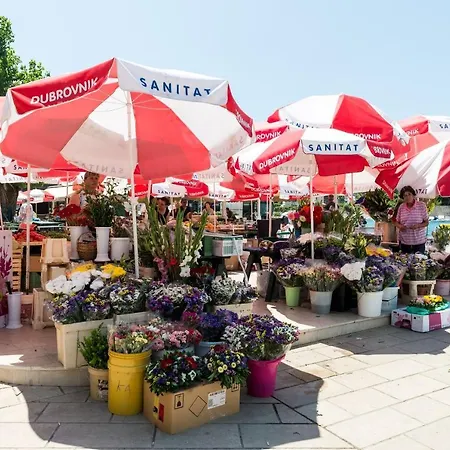 Gabrieri Ντουμπρόβνικ